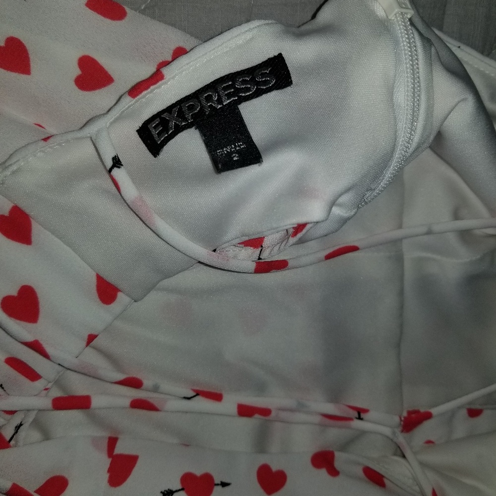 Express Dress - Picture 3 of 3